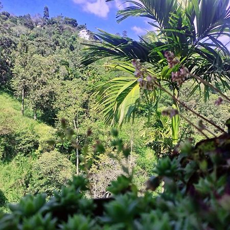 Creek Downhills Bed & Breakfast เอลลา ภายนอก รูปภาพ