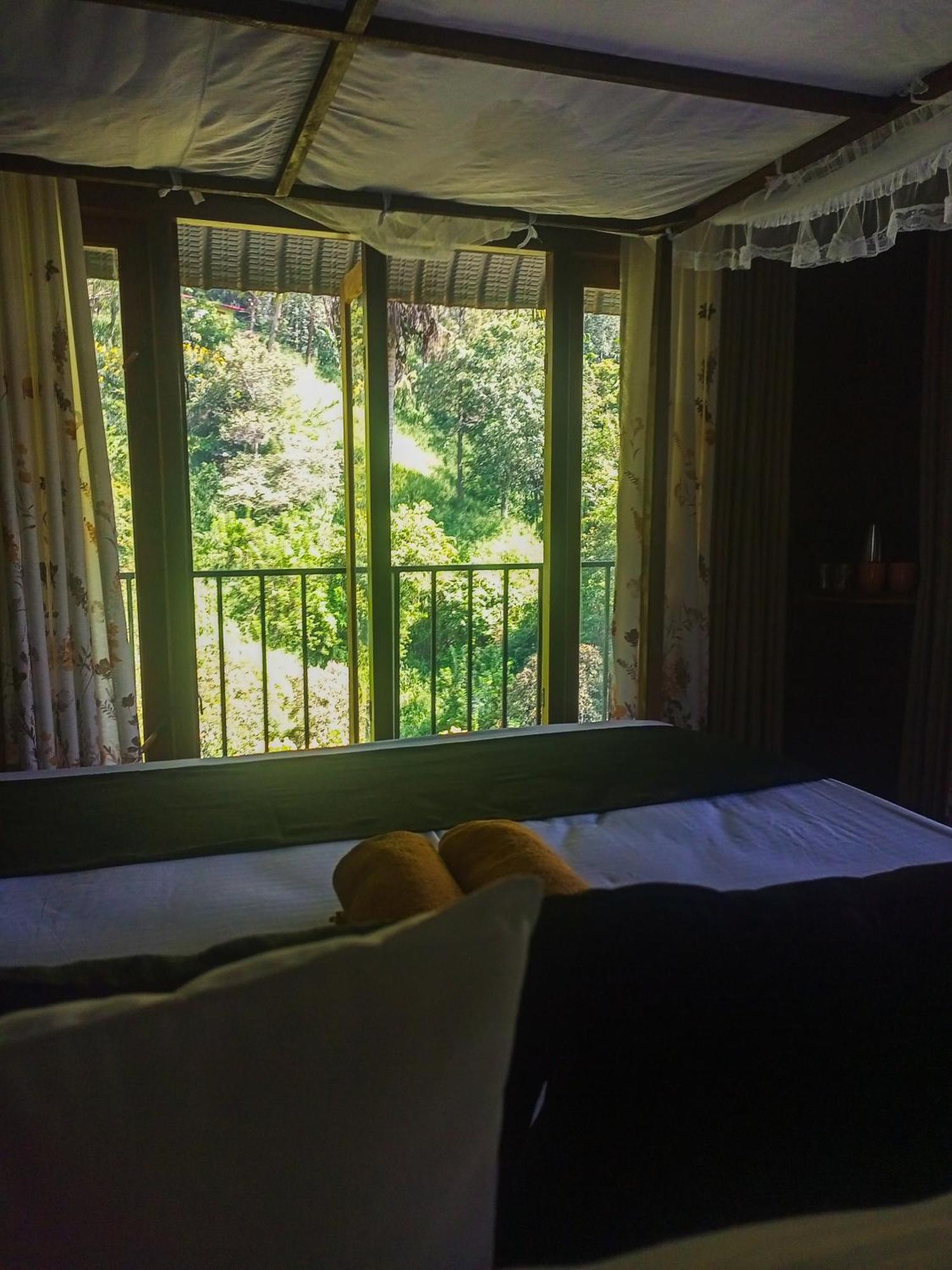 Creek Downhills Bed & Breakfast เอลลา ภายนอก รูปภาพ
