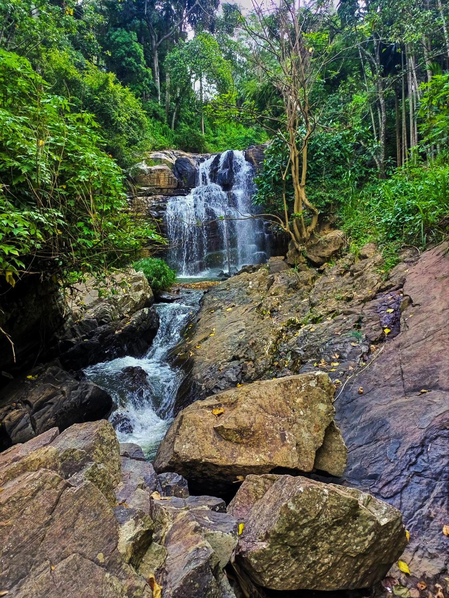 Creek Downhills Bed & Breakfast เอลลา ภายนอก รูปภาพ