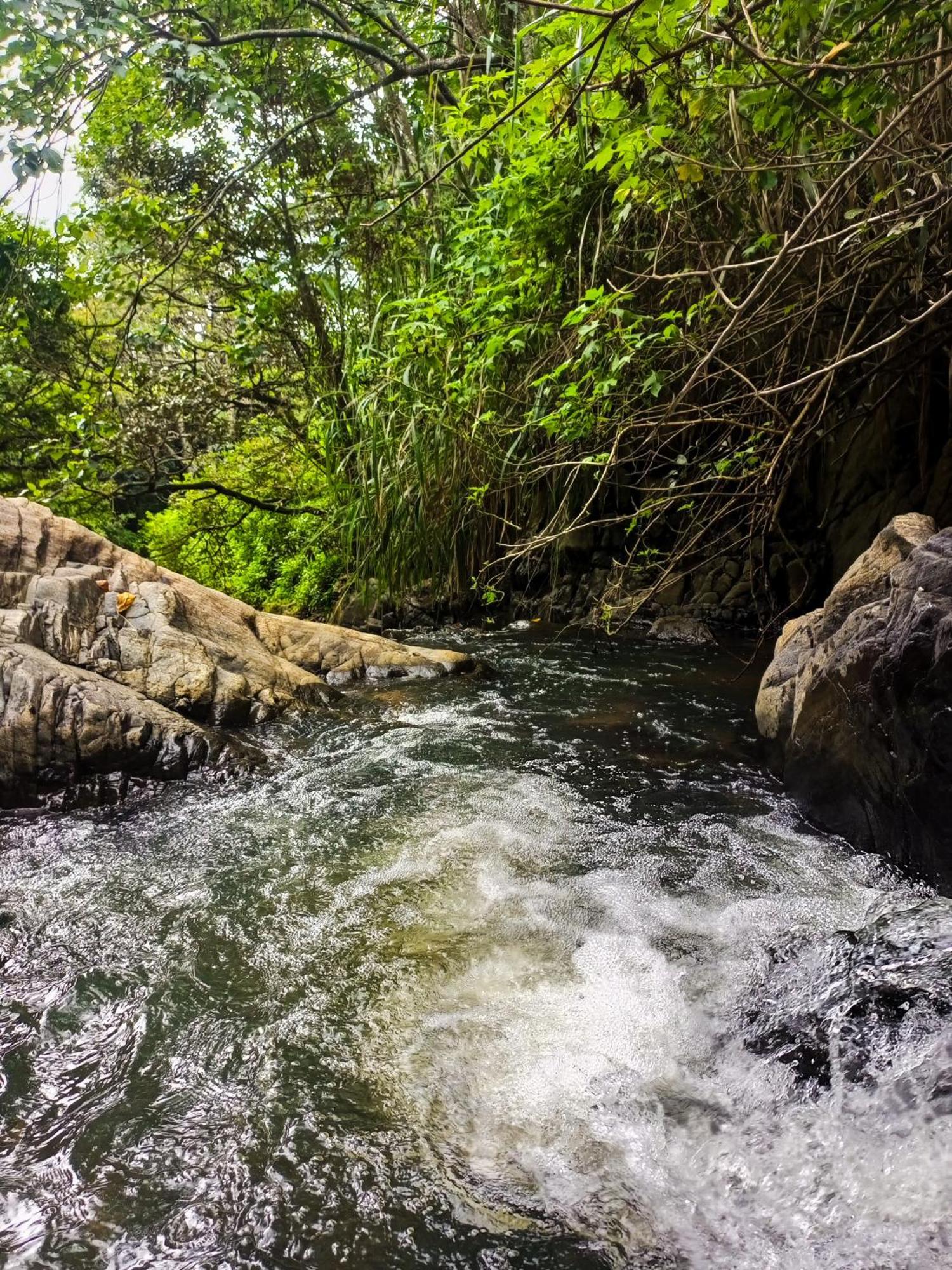 Creek Downhills Bed & Breakfast เอลลา ภายนอก รูปภาพ