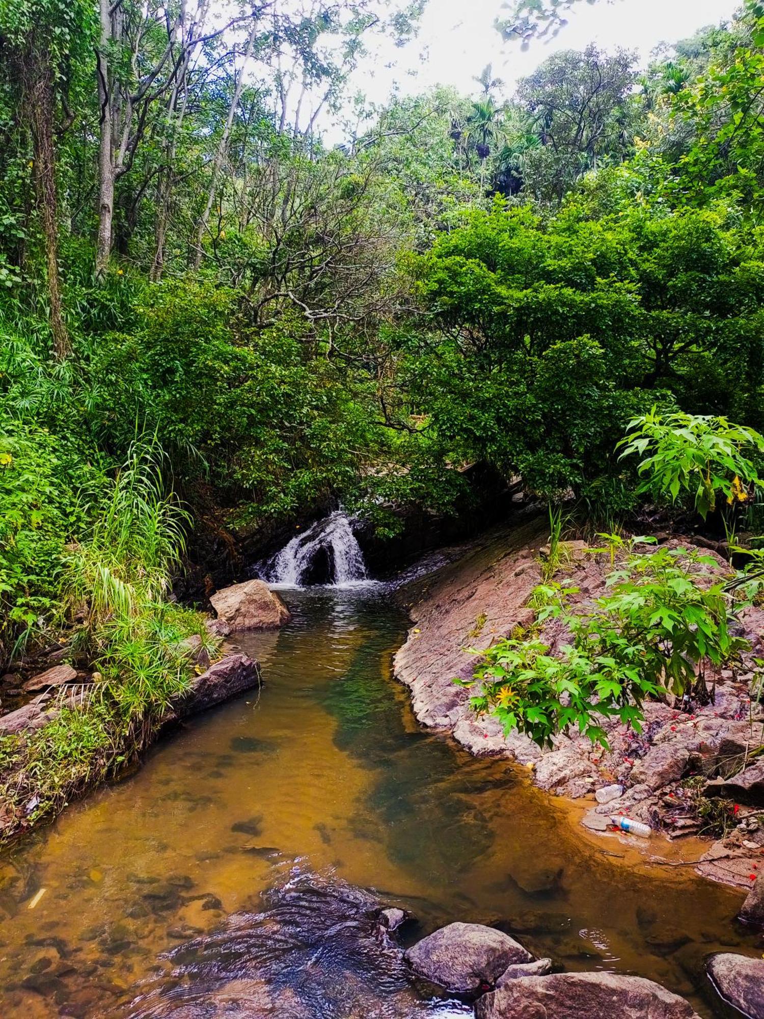 Creek Downhills Bed & Breakfast เอลลา ภายนอก รูปภาพ