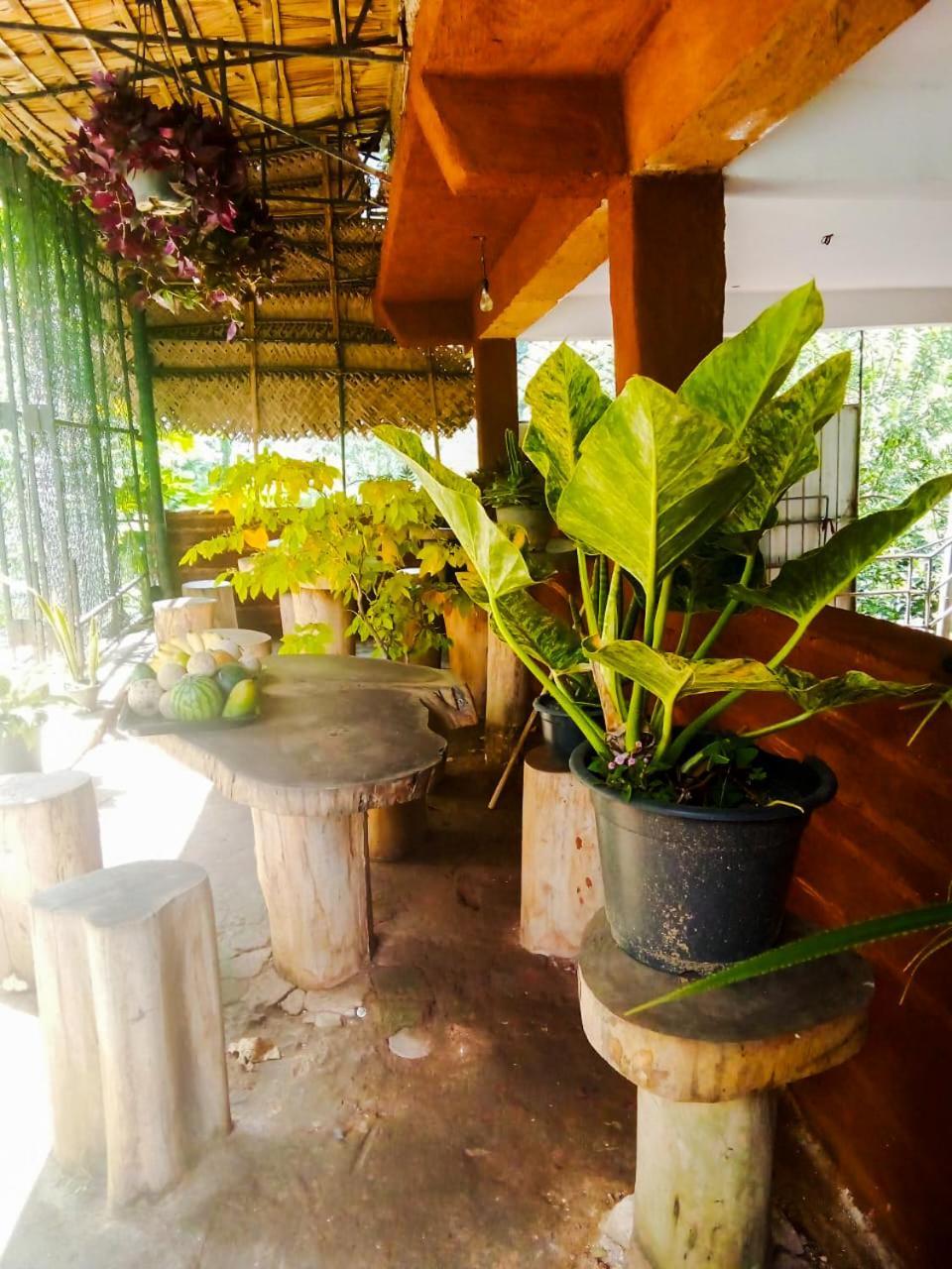 Creek Downhills Bed & Breakfast เอลลา ภายนอก รูปภาพ