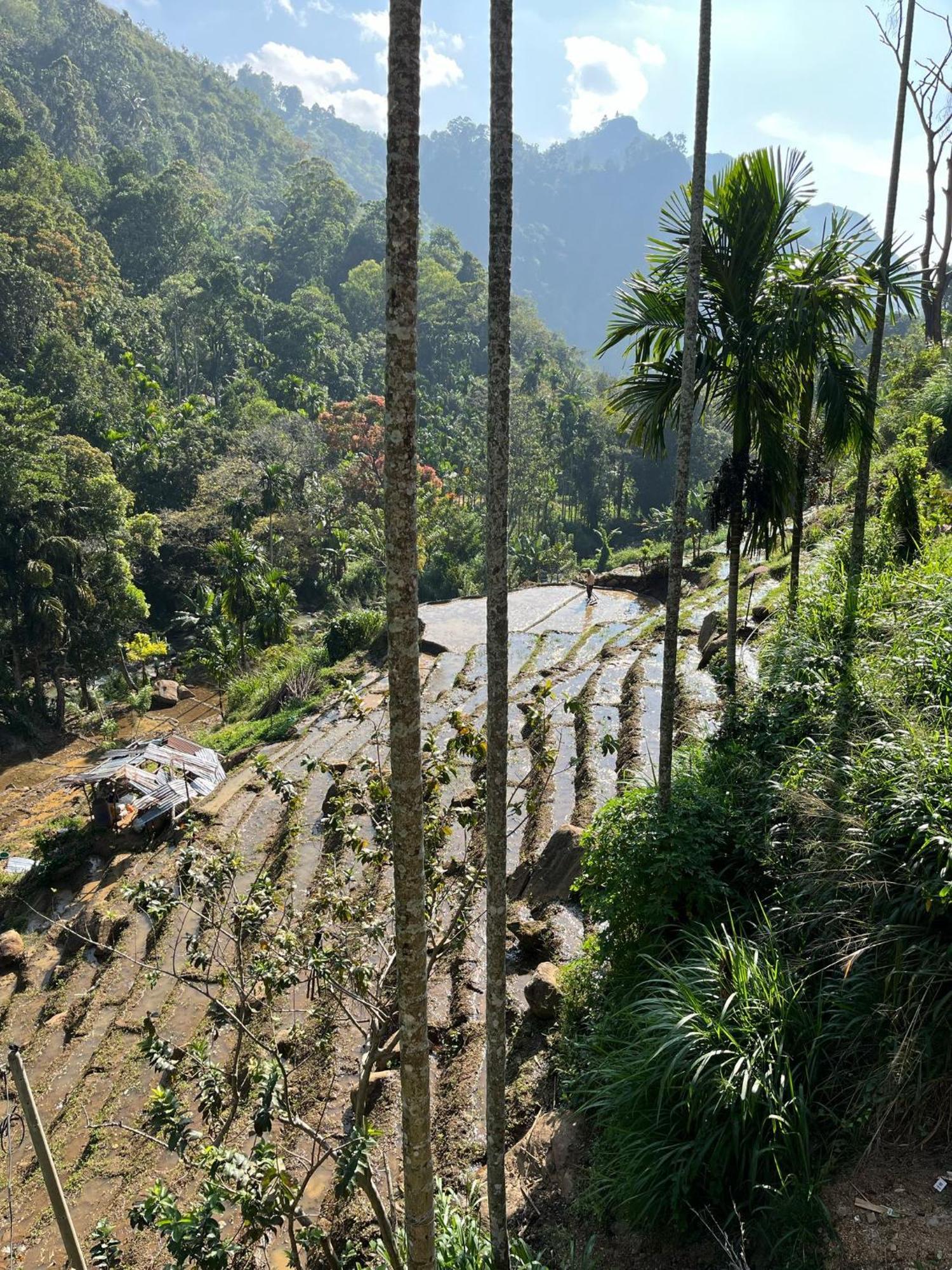 Creek Downhills Bed & Breakfast เอลลา ภายนอก รูปภาพ
