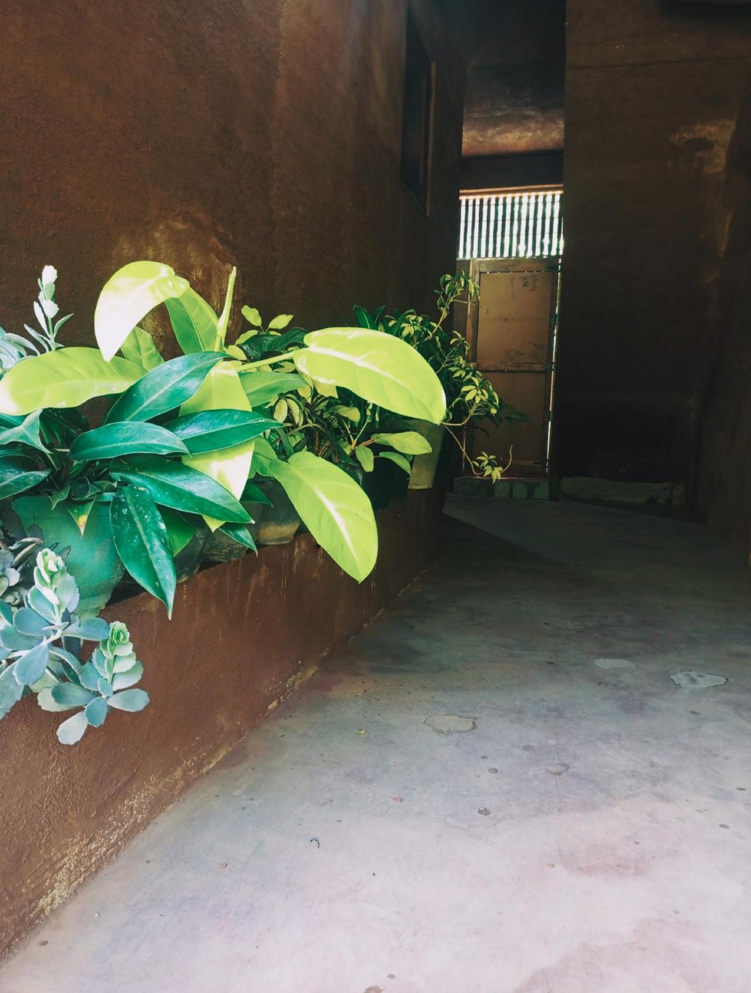 Creek Downhills Bed & Breakfast เอลลา ภายนอก รูปภาพ